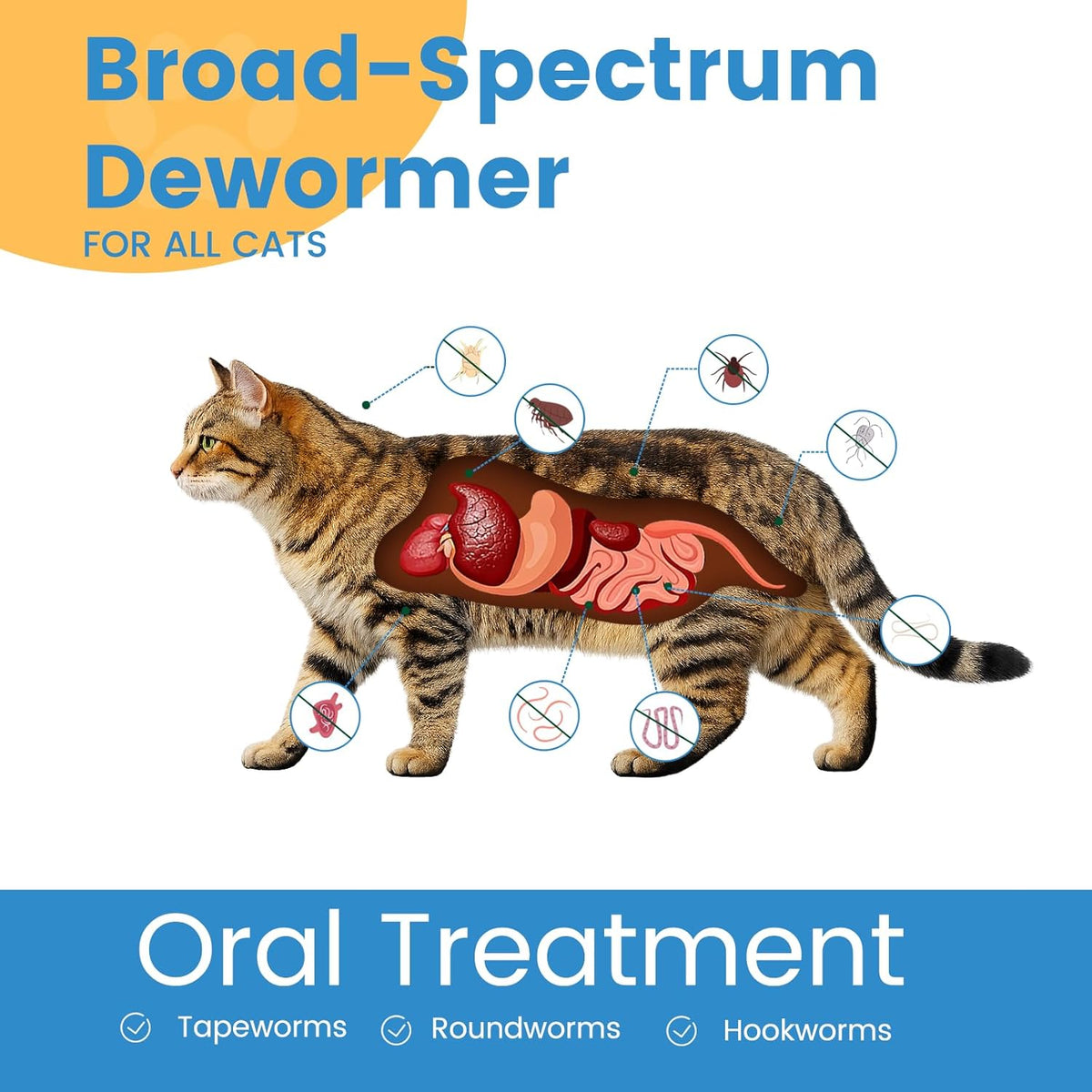 Morvequa feline deworming tablets with chicken flavor callout for easy administration to kittens.