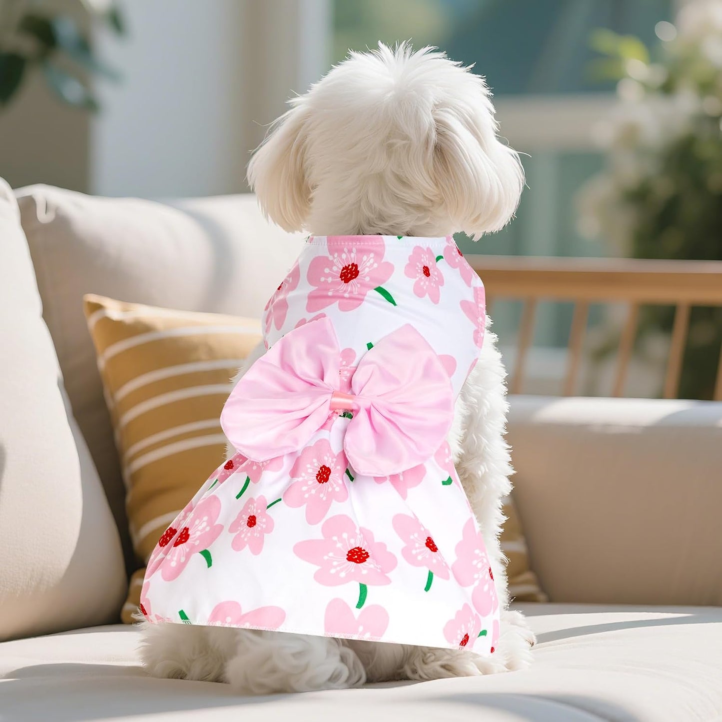 Choyaxo floral pet apparel showing the flared hemline structure designed for easy movement.