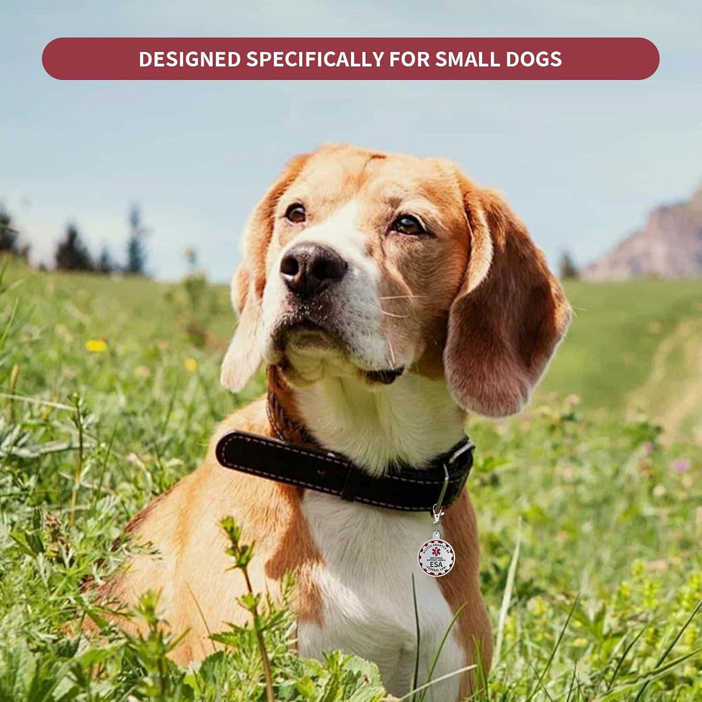K9King durable stainless steel pet identification medal close up