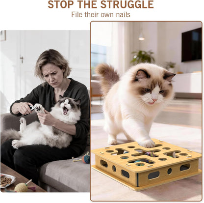 Interactive cat scratch puzzle enrichment box with interior sandpaper pads for natural claw filing.