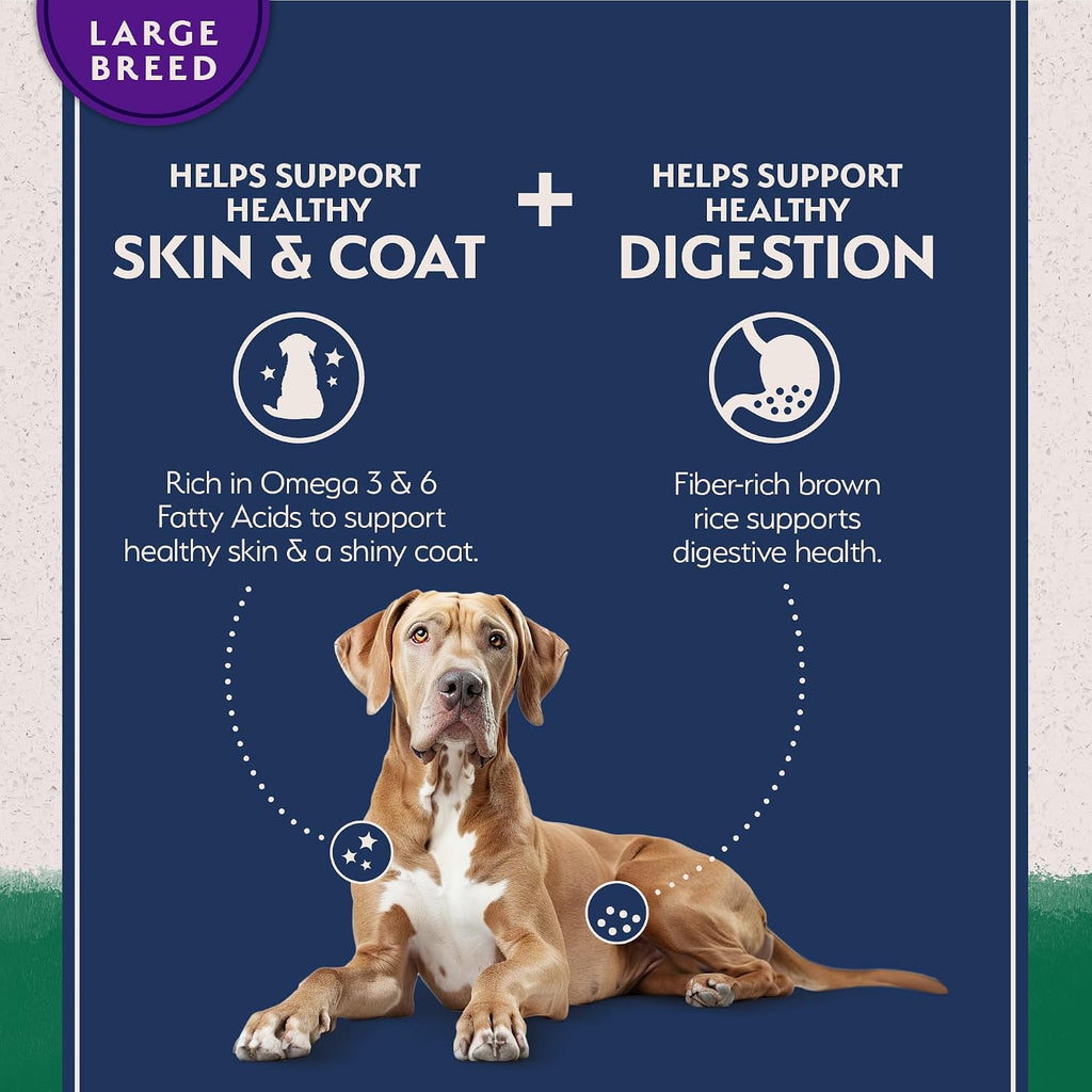 Natural Balance healthy grains lamb and brown rice dog food nutritional facts and ingredients
