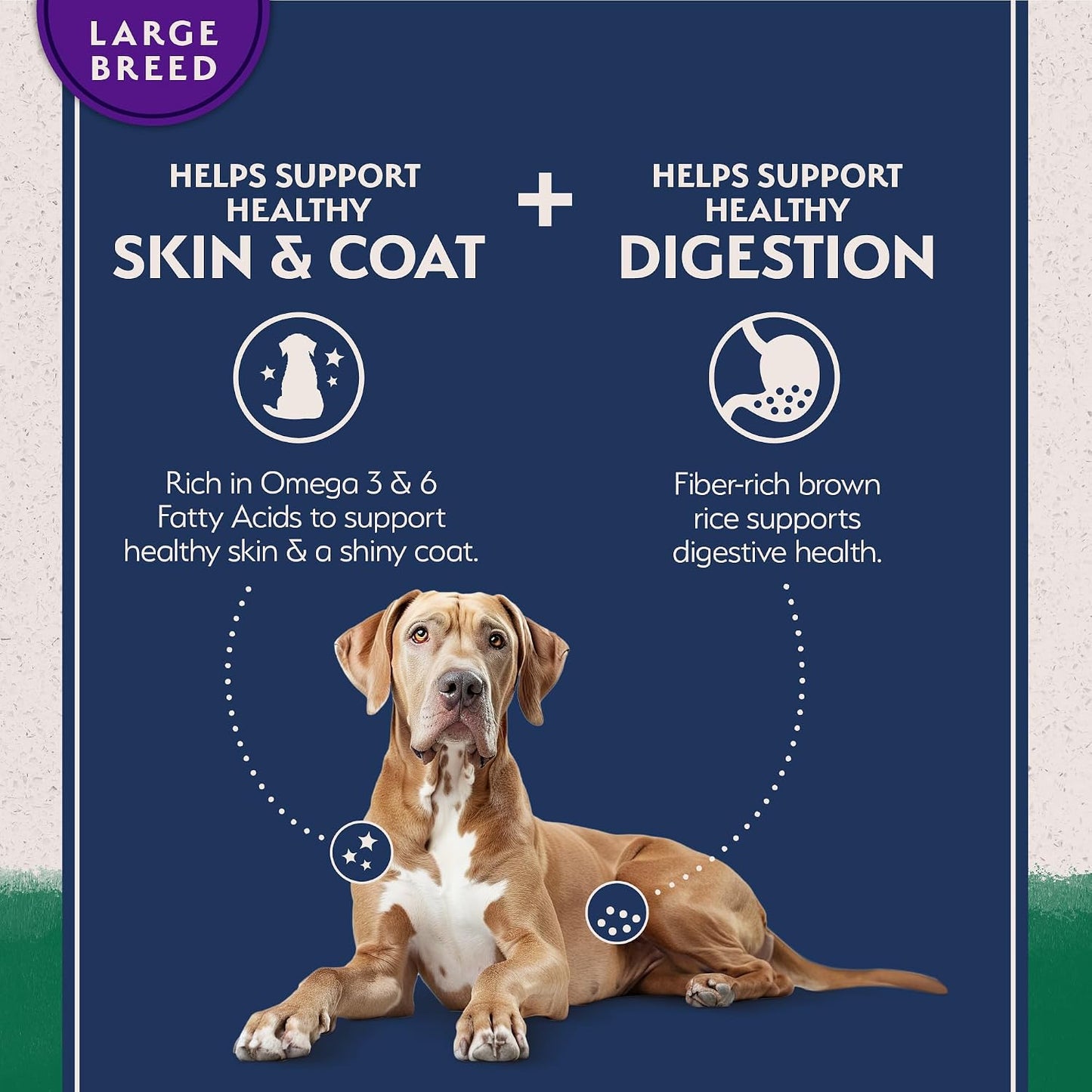 Natural Balance healthy grains lamb and brown rice dog food nutritional facts and ingredients