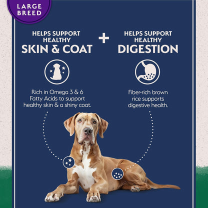 Natural Balance healthy grains lamb and brown rice dog food nutritional facts and ingredients