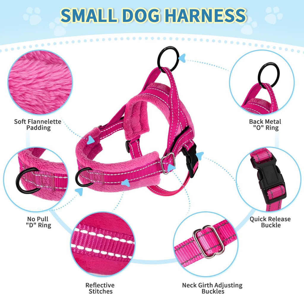 Small dog wearing SlowTon fuchsia vest harness