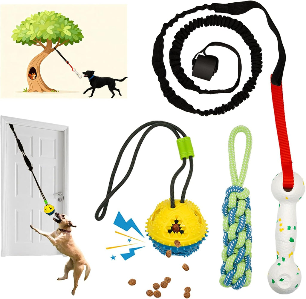 GDuolaPaws interactive dog bungee tug toy four piece set front view showing black elastic rope