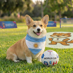 Adjustable knot demonstration on medium dog breed