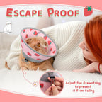 Kitten wearing soft pink strawberry Elizabethan collar sleeping comfortably