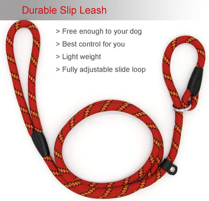Coolrunner imported pet walking lead designed for dogs weighing 10 to 80 pounds.