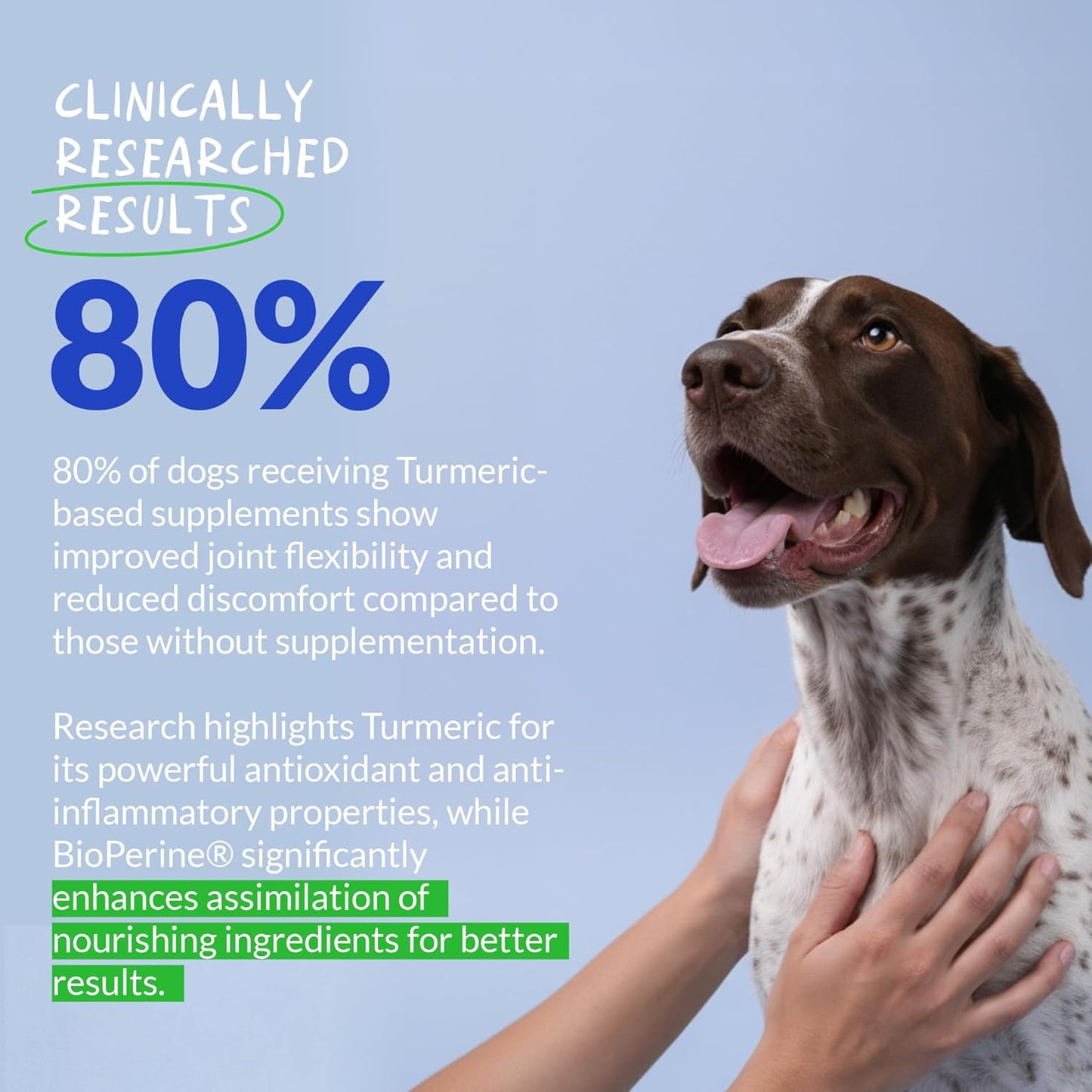 Premium USA imported dog supplement bottle highlighting turmeric root and BioPerine ingredients