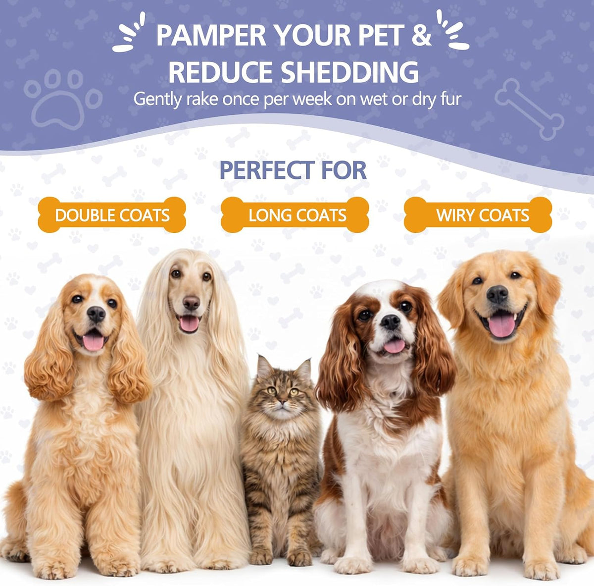 DDXCOOX double sided spray pet brush packaging and complete grooming kit