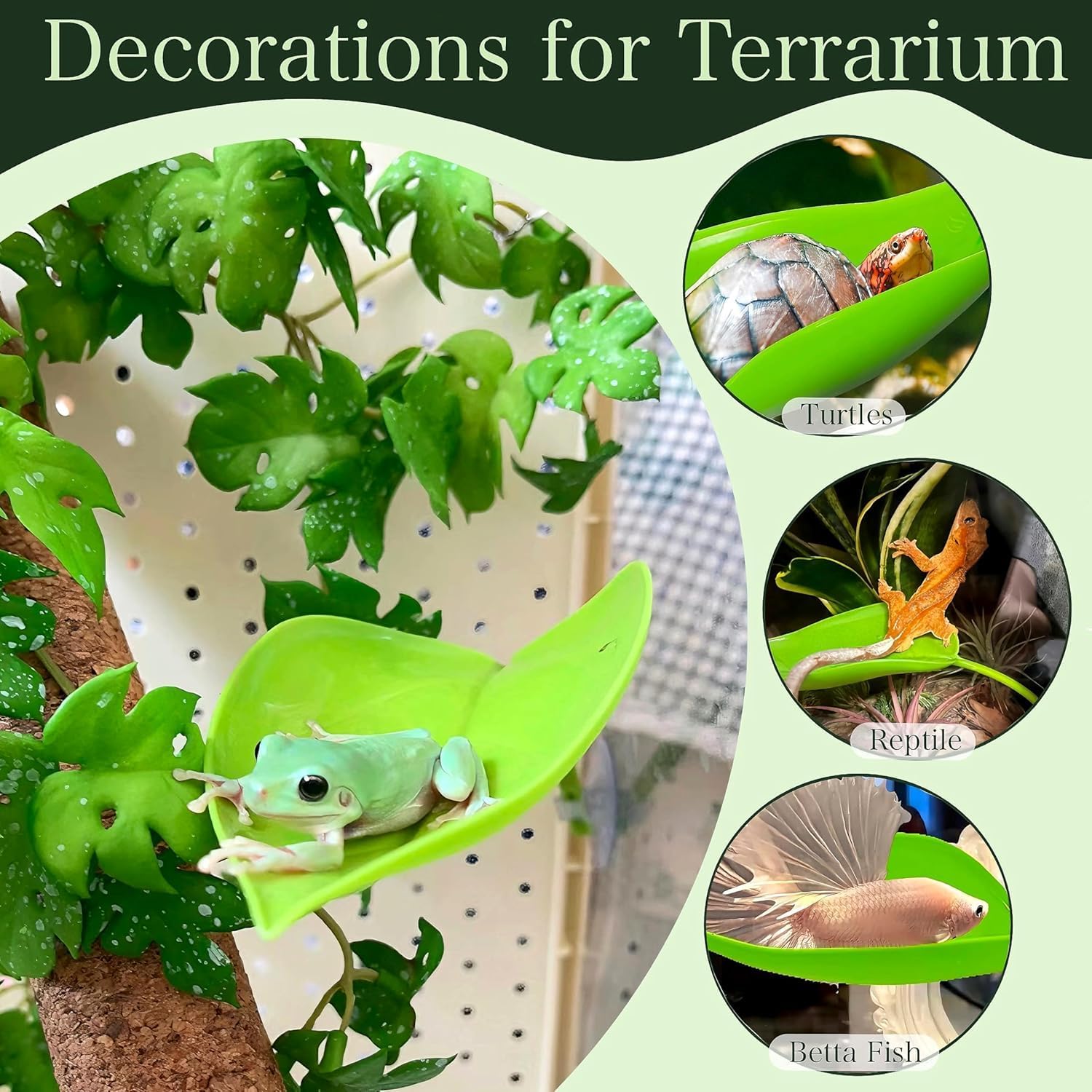 Multi-level climbing leaves for tree frogs and lizards