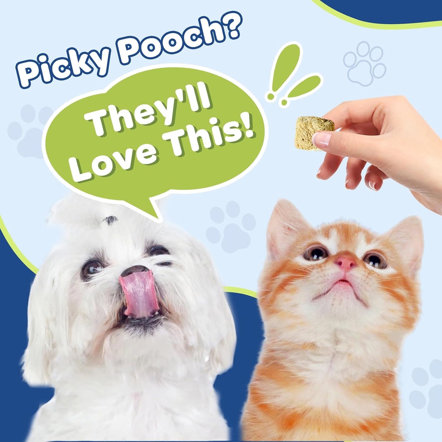 Dog skin and coat health soft chews container display