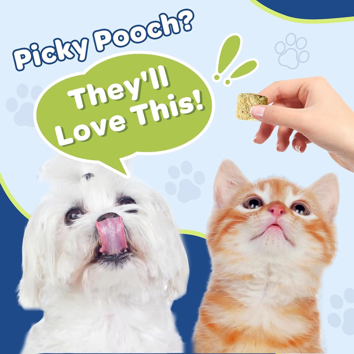 Dog skin and coat health soft chews container display