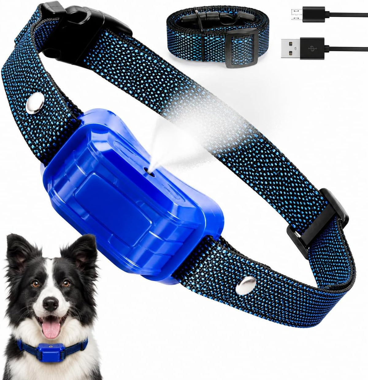 Petctn Citronella Bark Collar blue front view