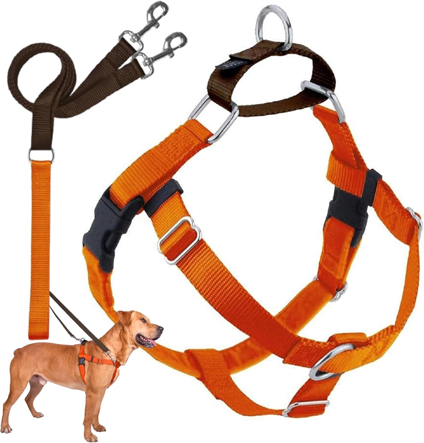 2 Hounds Design Freedom No Pull Dog Harness, Adjustable Harness and Leash Set, Easy Walking & Comfortable Control, Fits Small, Medium & Large Dogs, Solid Colors, Made in USA, 1" LG, Black - Image 14