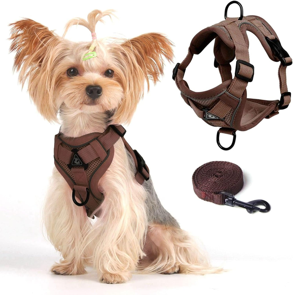 Juliyeh adjustable pet harness for large cats back view with leash