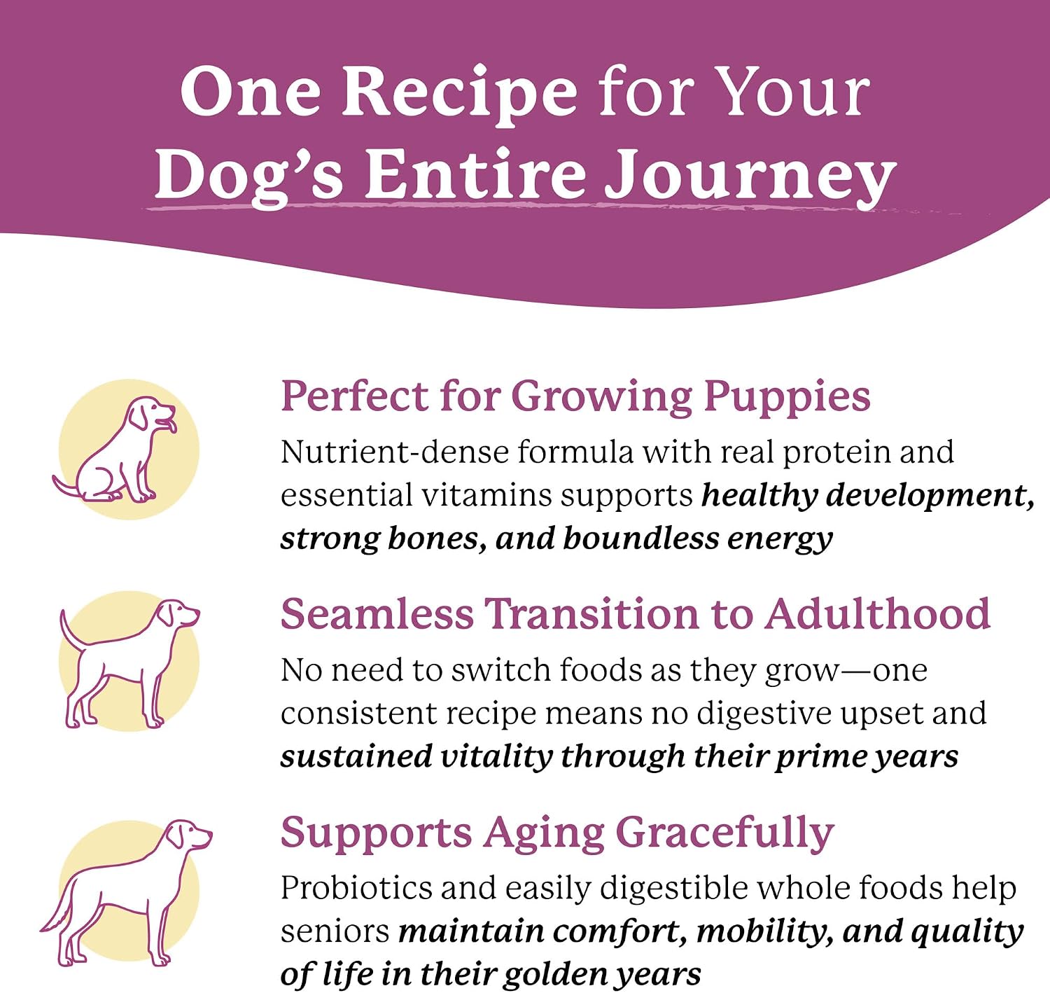Close up of Dr. Harvey's Every Dog Health dried beef and vegetable texture