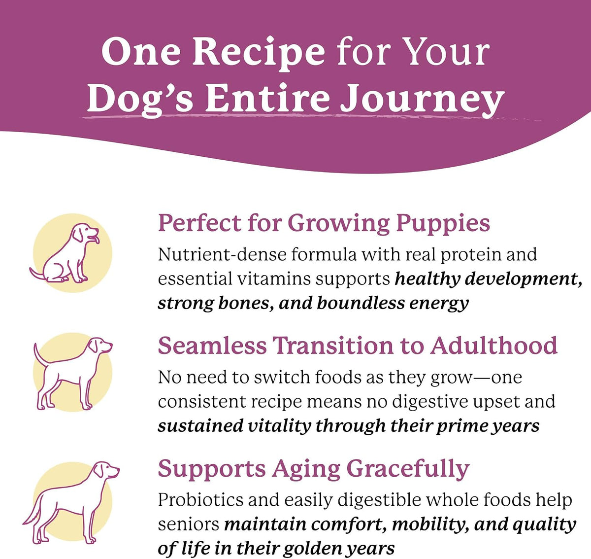 Close up of Dr. Harvey's Every Dog Health dried beef and vegetable texture