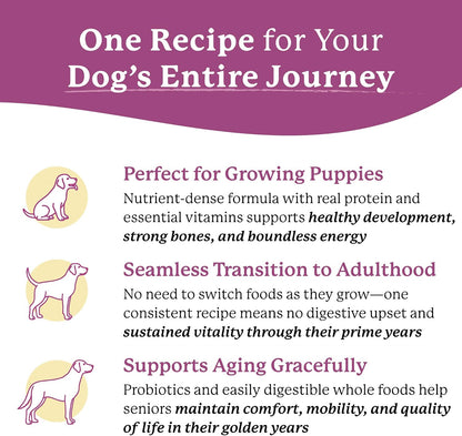 Close up of Dr. Harvey's Every Dog Health dried beef and vegetable texture