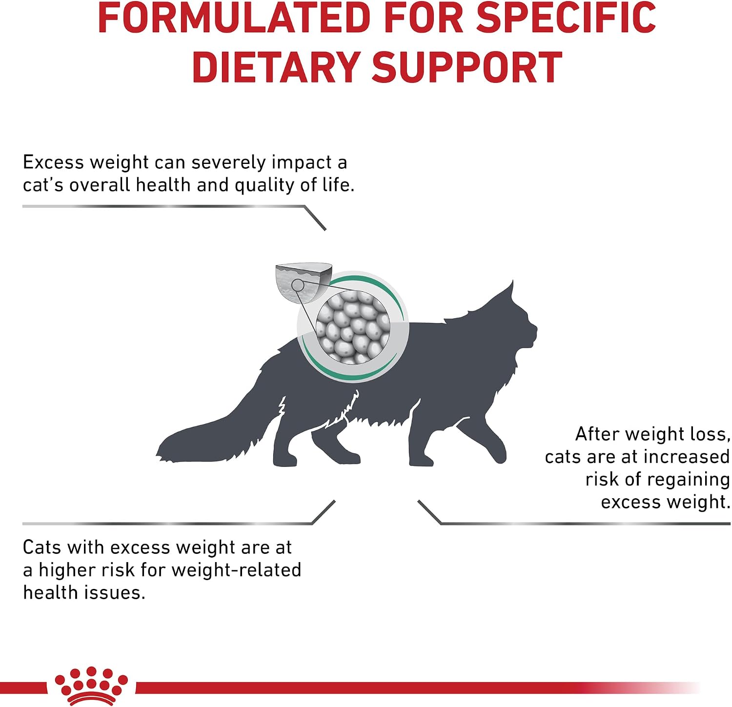 Detailed view of the ingredients and veterinary prescription advisory text on the Royal Canin cat food bag.