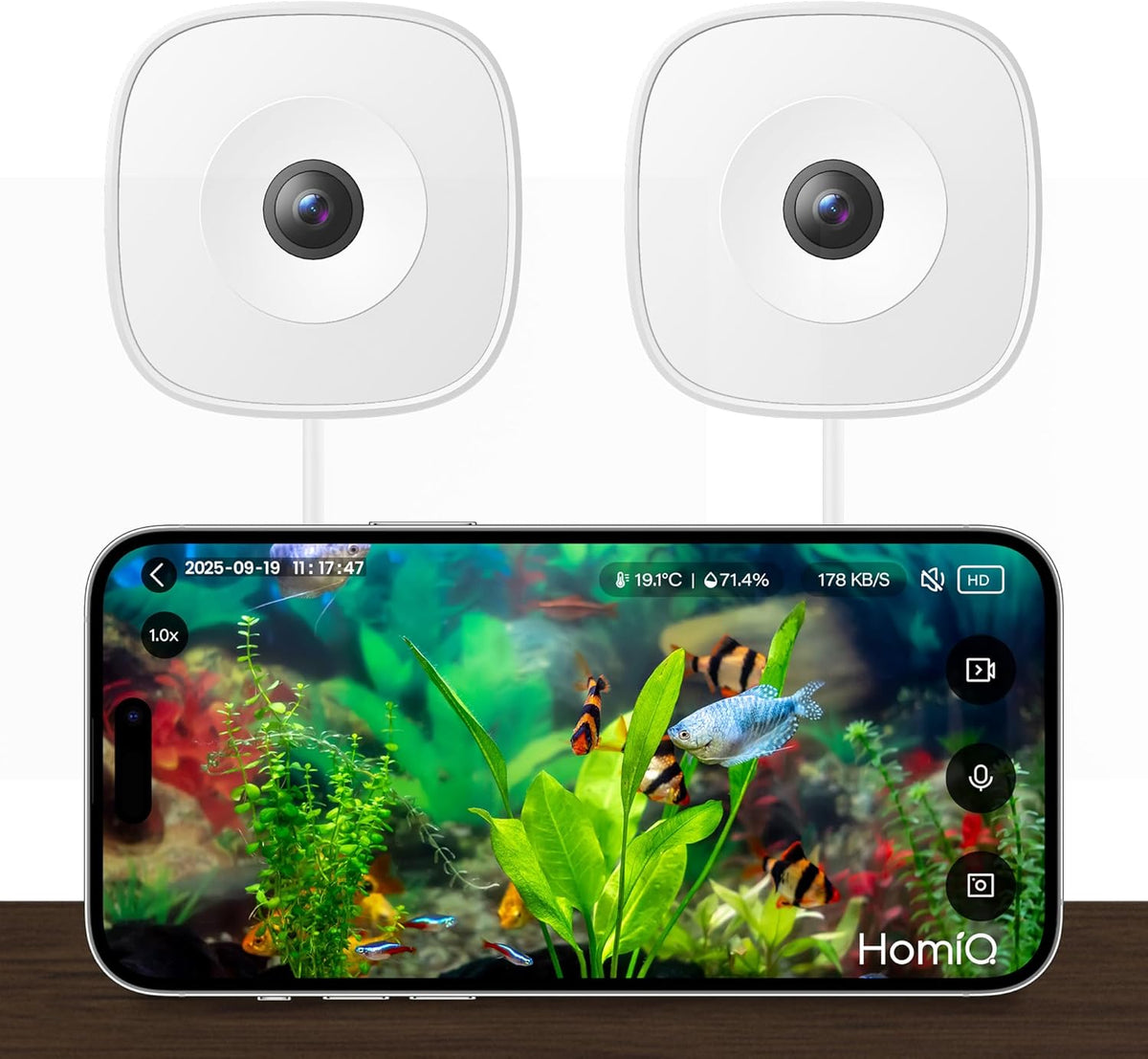 3MP 2K Aquarium & Terrarium Pet Camera.Install &Close-Focus Lens for Fish,Lizard, Reptile Pet and Window Bird Feeder,2.4GHz & 5GHz WiFi,Auto-Focus,24/7 Recording - Image 10
