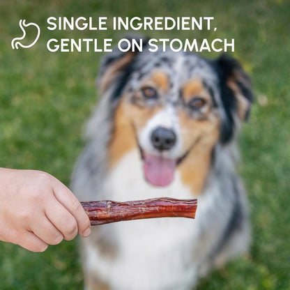 All natural single ingredient dog chew sticks texture close up.