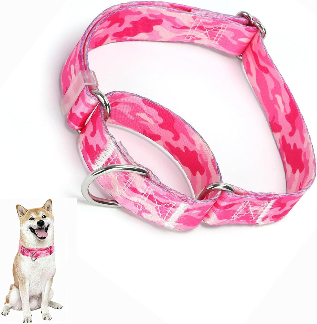 Close up details of ONEFOJOJO martingale collar heavy duty hardware.