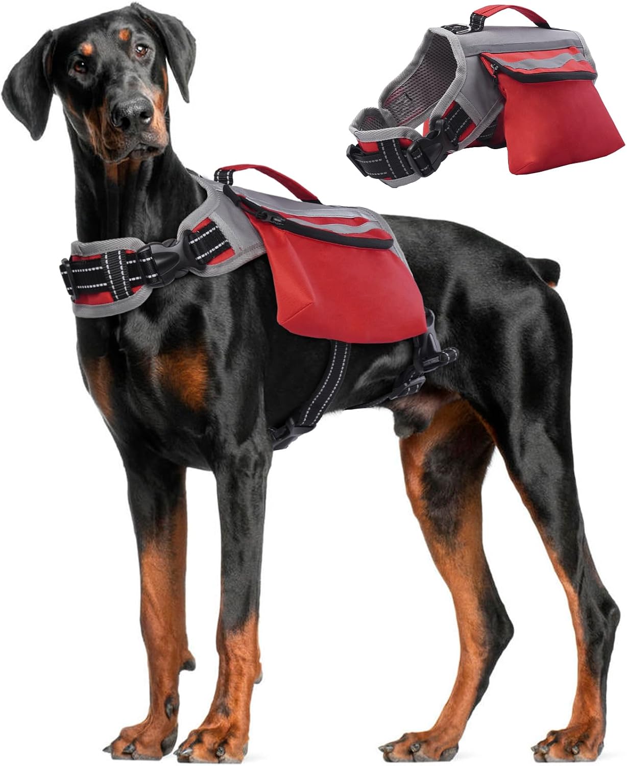 DENTRUN dog hiking backpack red and grey front view on a medium breed dog