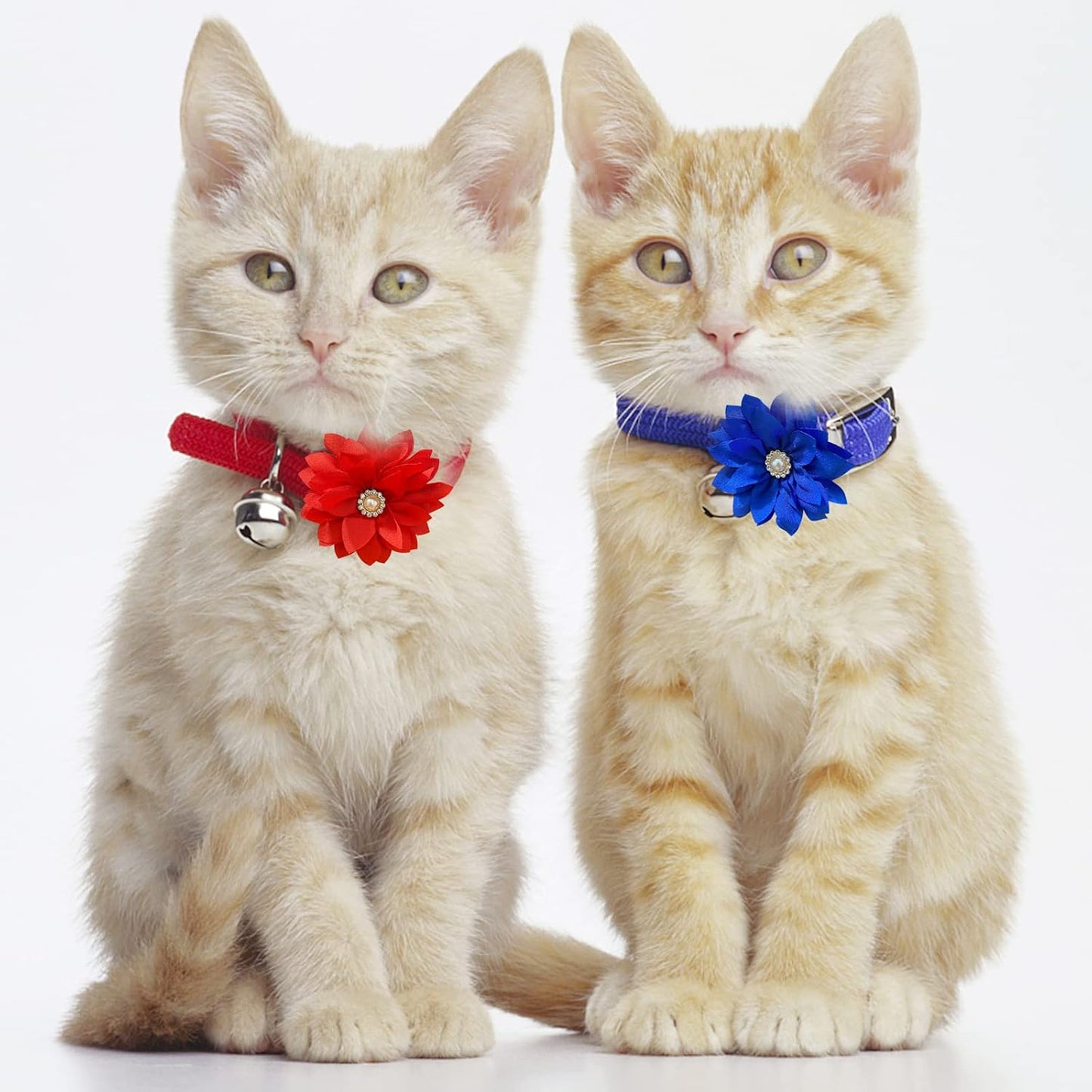 Multi-colored chiffon dog collar flowers for grooming