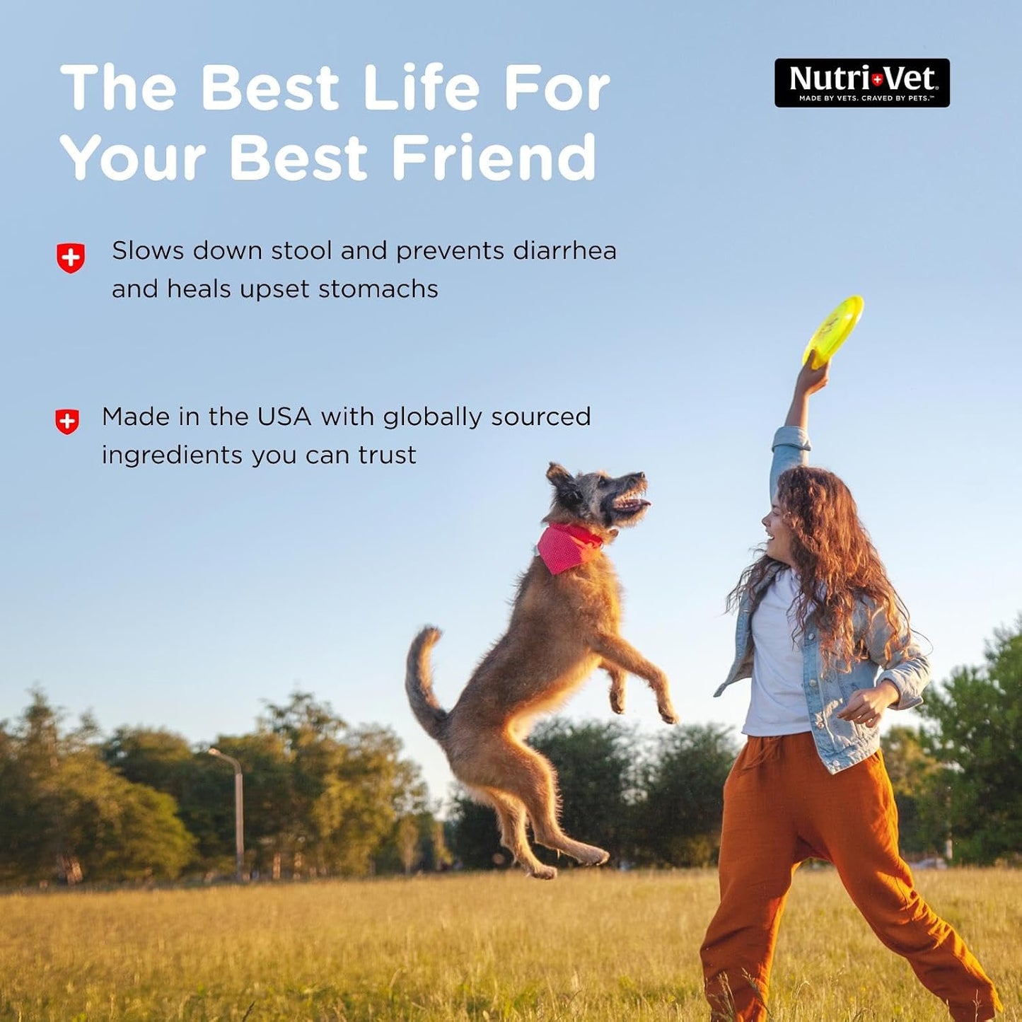 Authentic USA imported Nutri-Vet dog care product
