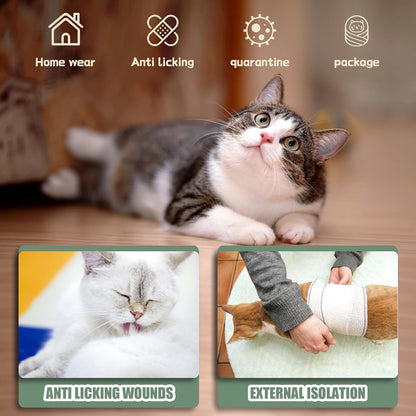 Alternative to traditional plastic cone of shame for cats