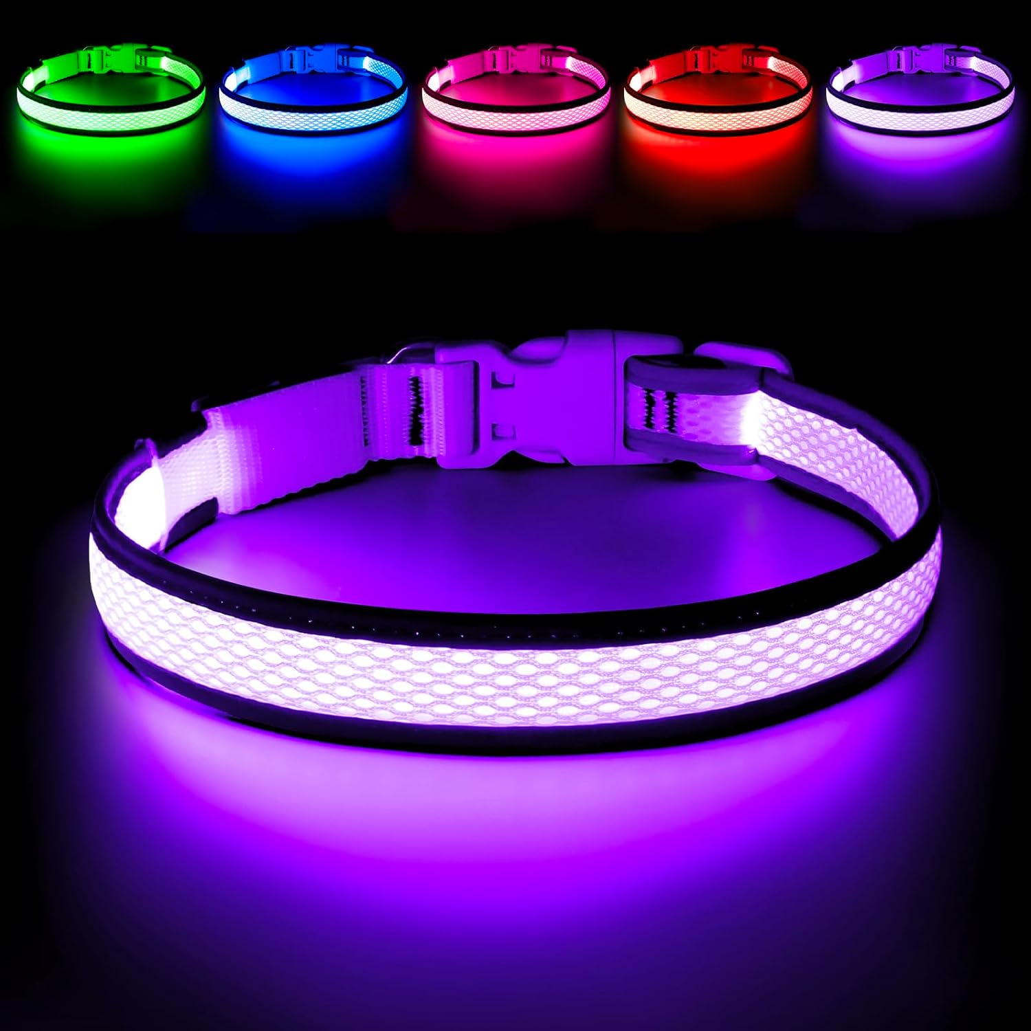 Dog wearing green Flashseen LED safety collar
