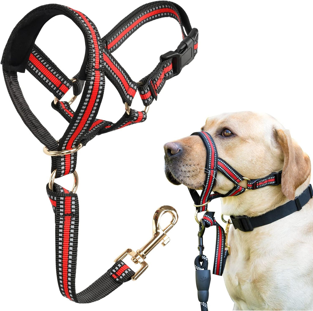 Comfortable padded design of Barkless head collar