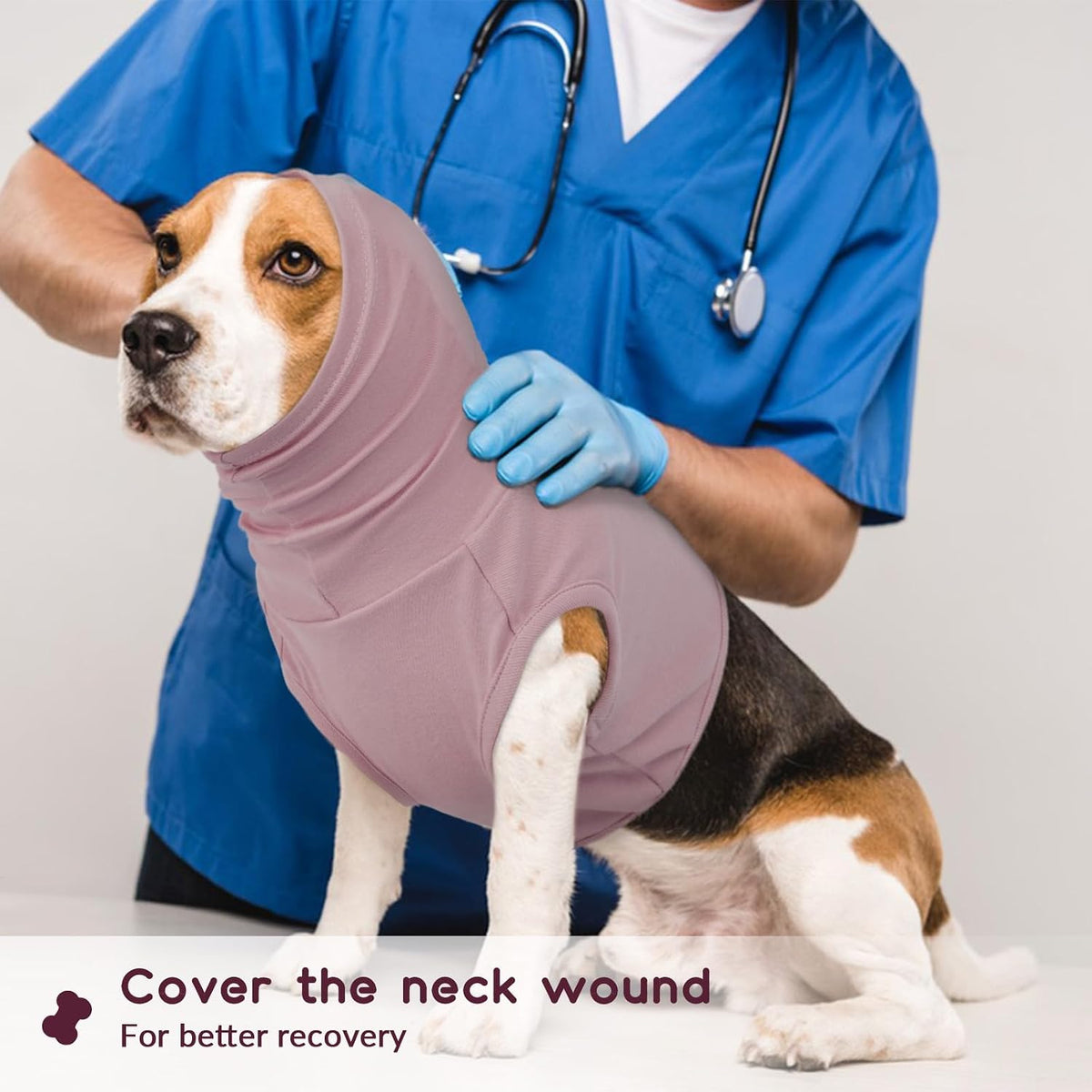 Dog wearing Rozkitch surgical recovery neck cover
