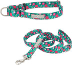 Lucky Love Dog Martingale Dog Collar - Adjustable, No-Slip, Durable, & Soft Webbing Collar for Male and Female Dogs Ideal for Training & Walking - Blackbird, Medium - Image 9