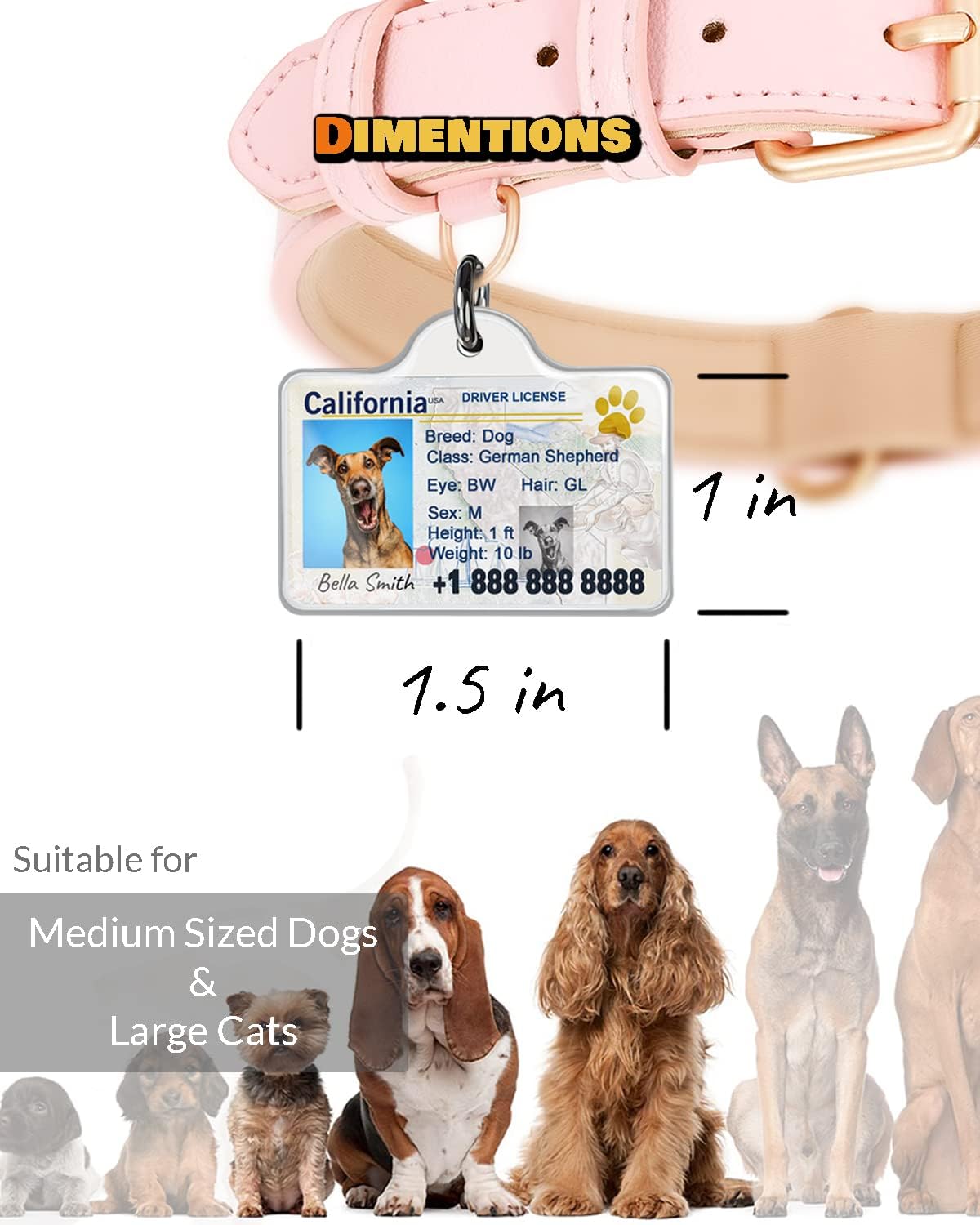 Imported puplook custom identification tags for dogs and cats.