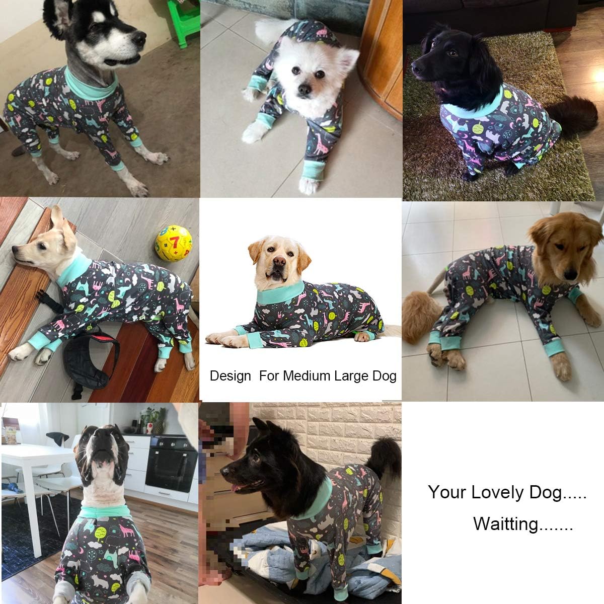 Miaododo post surgery recovery onesie side view on golden retriever