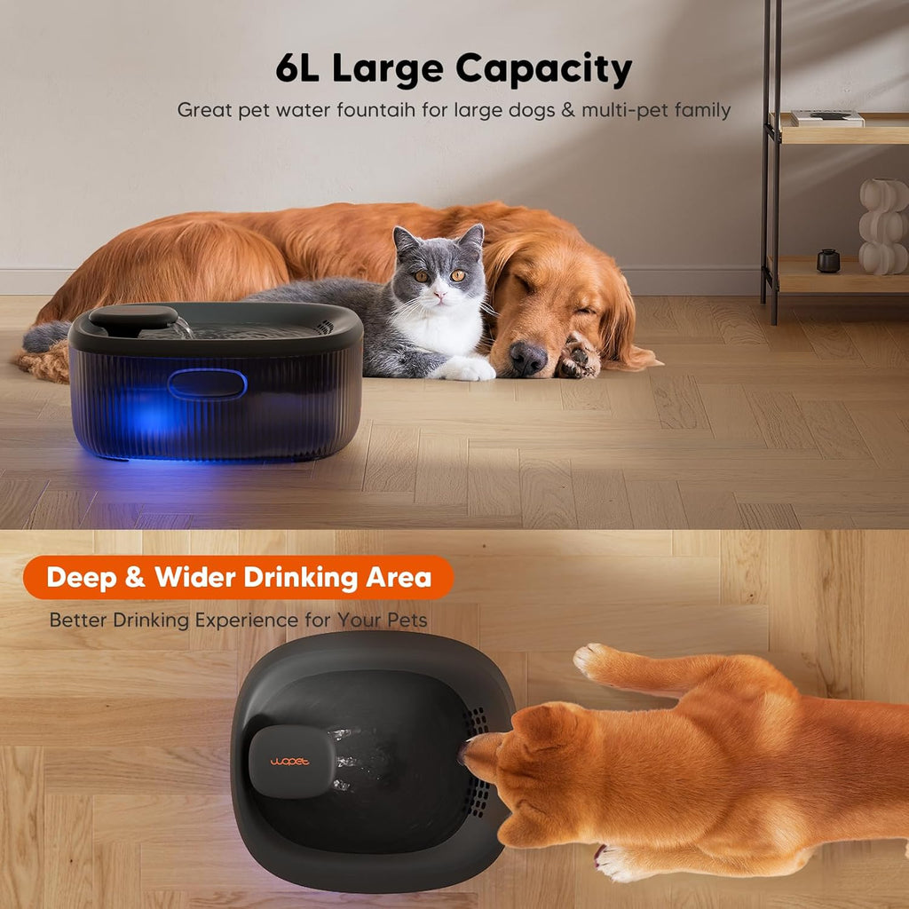 Wopet pet water dispenser showing 6 liter water capacity