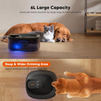 Wopet pet water dispenser showing 6 liter water capacity