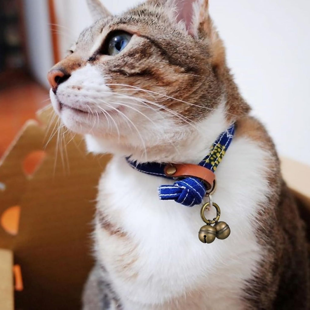 High quality copper pet collar charms by Chyobo for wildlife protection