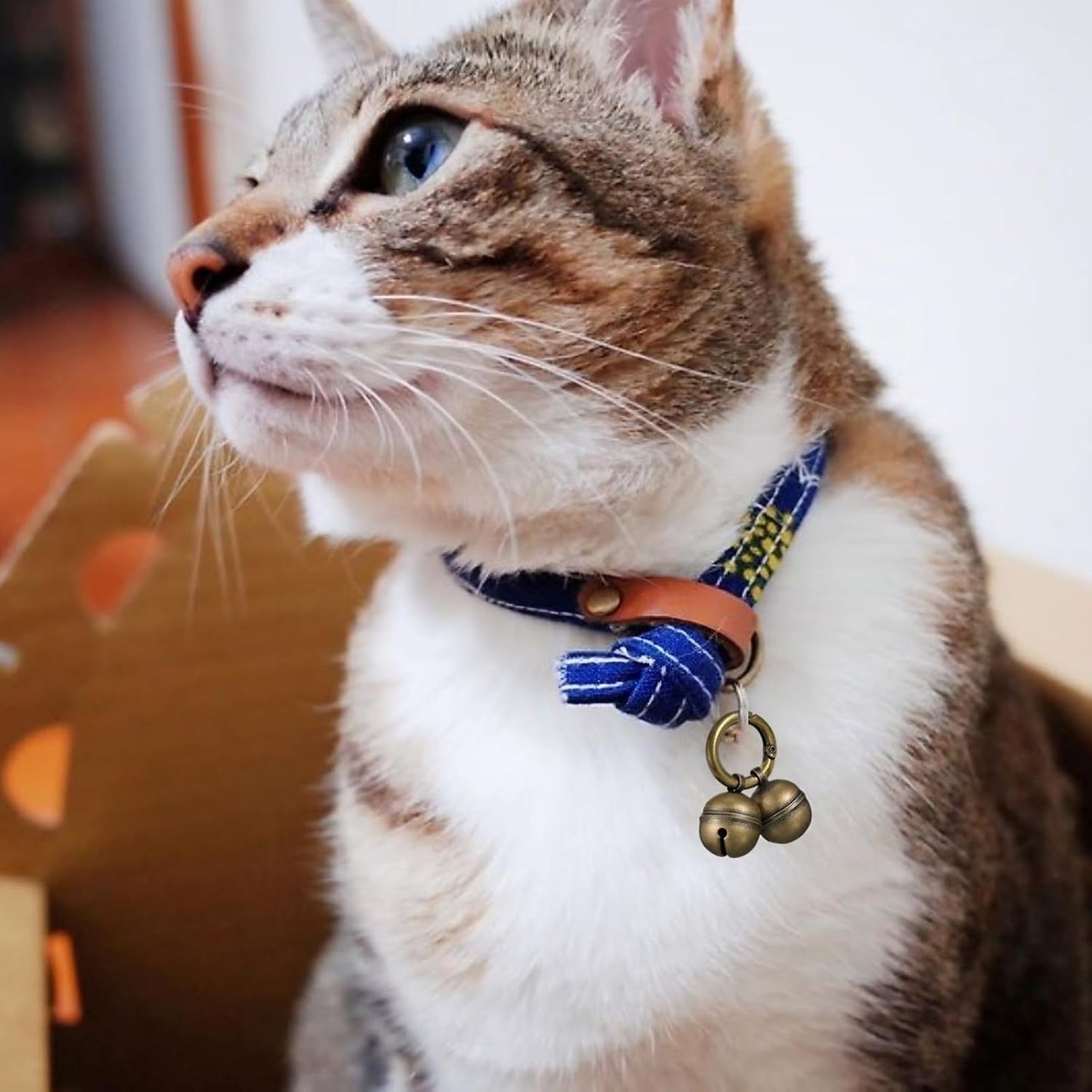 High quality copper pet collar charms by Chyobo for wildlife protection
