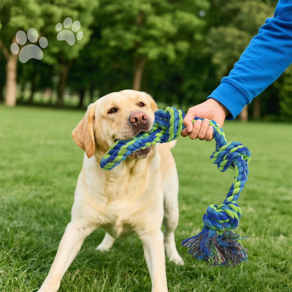 A collection of heavy duty pet chewing ropes spread out on a clean surface.