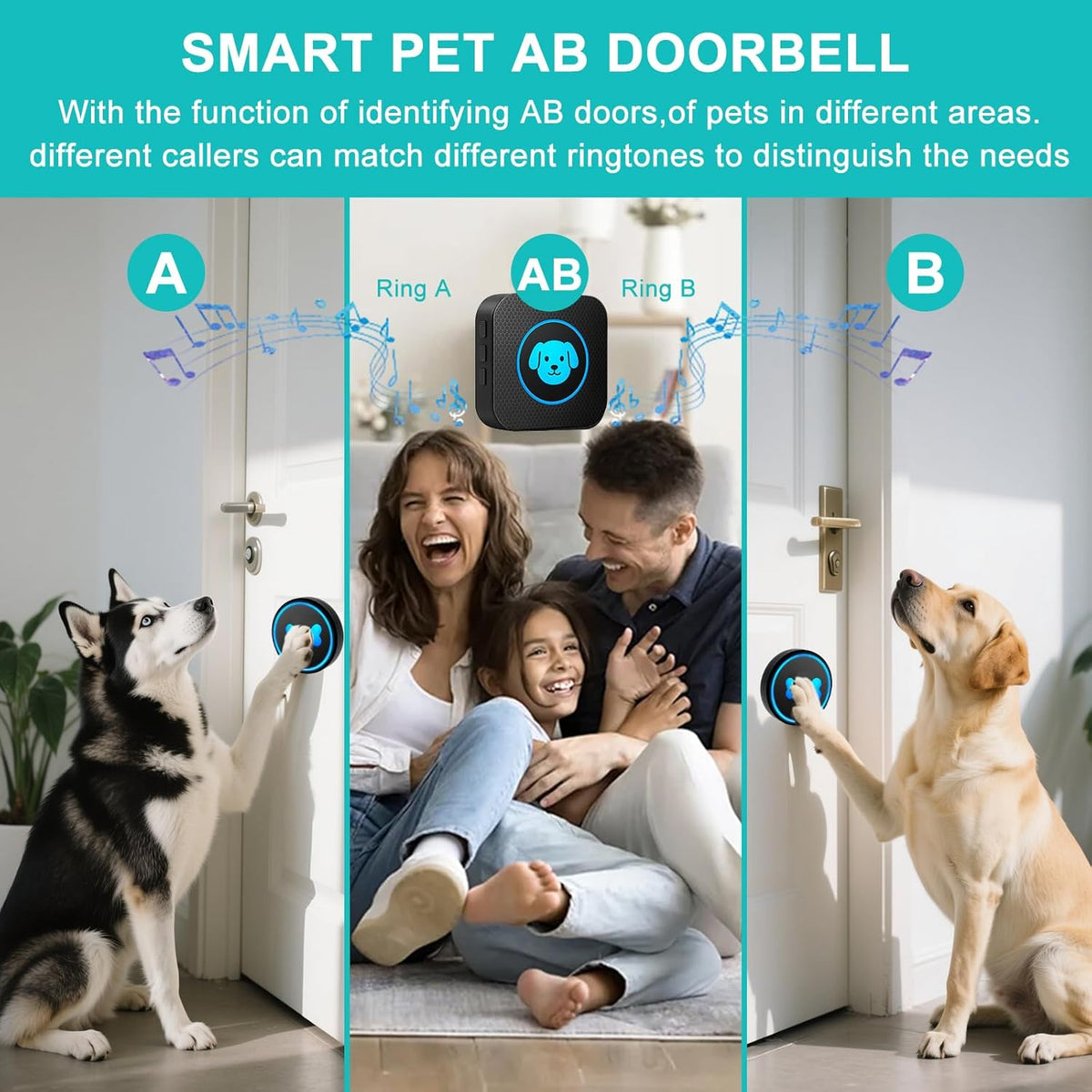 Dog Doorbell to Go Outside, Smart Wireless Doggie Doorbell for Potty Training,1000 Feet Long Range with IP65 Waterproof Super-Light Touch Button, 60 Melodies & Adjustable Volume (2 Button) - Image 9