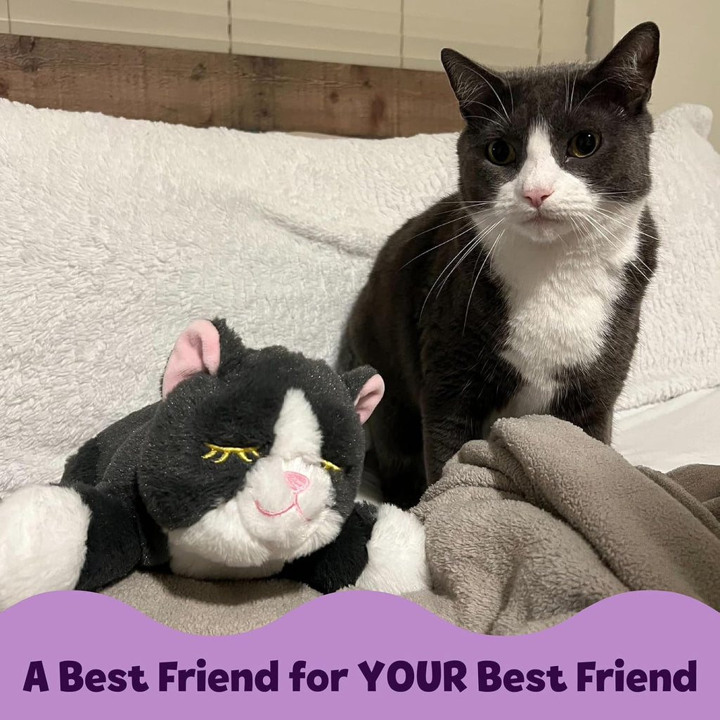 Machine washable heartbeat cat plush toy with electronic components removed
