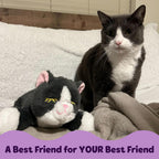 Machine washable heartbeat cat plush toy with electronic components removed