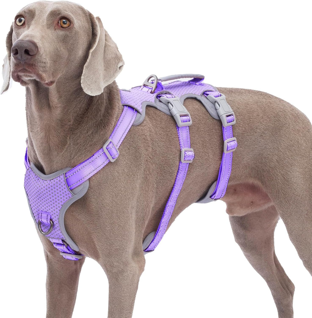 Huntboo Escape Proof Harness, No Slip Dog Harness Escape Proof, Fully Reflective Harness with Handle, Breathable, Durable, Adjustable Vest for Medium Dogs Walking and Training Gear (Black, M) - Image 11