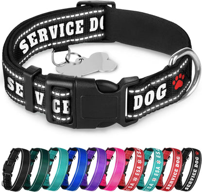 TECEUM Reflective Dog Collar - Aquamarine - M - Extra Soft Padding - Basic Nylon Pet Collar - Quick Release Buckle - Fits Small, Medium and Large Dogs, Puppies, Cats - ESA & Service Dog Options - Image 15