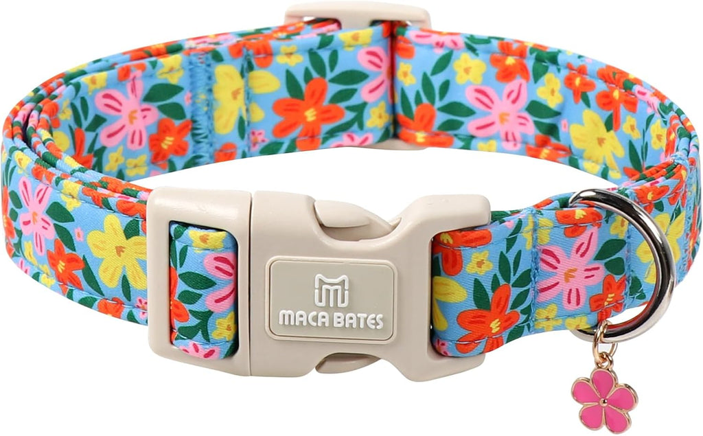 M Maca Bates dog collar packaging and charm accessory