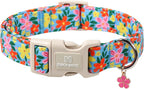M Maca Bates dog collar packaging and charm accessory