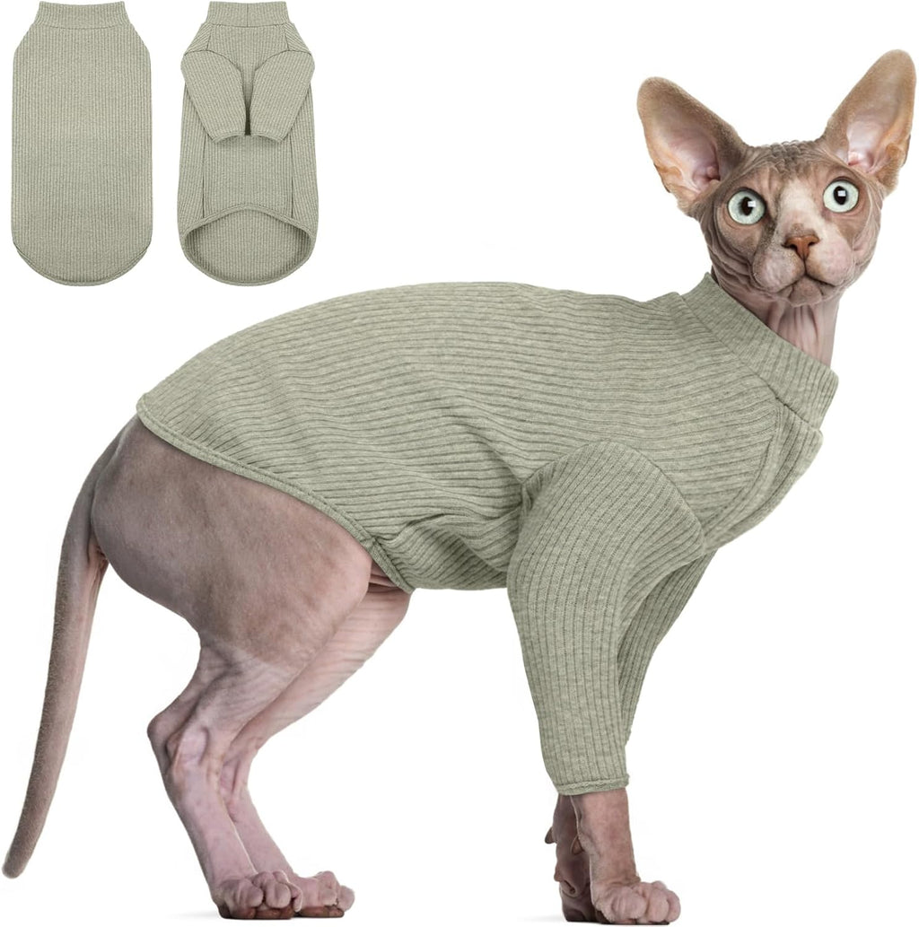 Dentrun Sphynx hairless cat turtleneck sweater front view